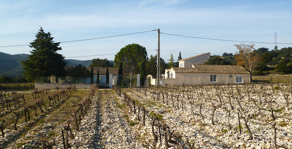 Jas des Vignes
